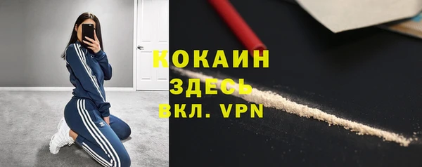 стафф Алзамай