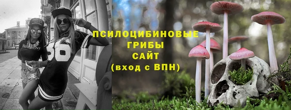 apvp Алексеевка