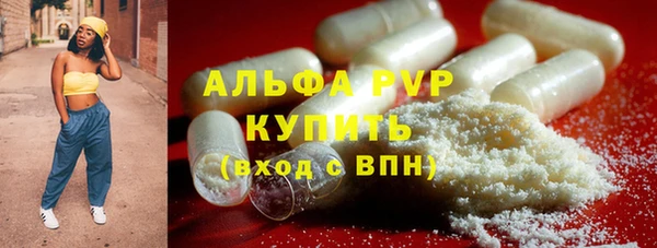 прущие грибы Россошь