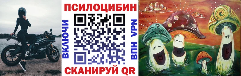 купить  цена  Вихоревка  Галлюциногенные грибы GOLDEN TEACHER 